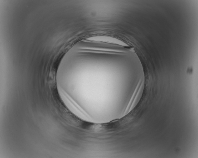 X0000112730425200909101456