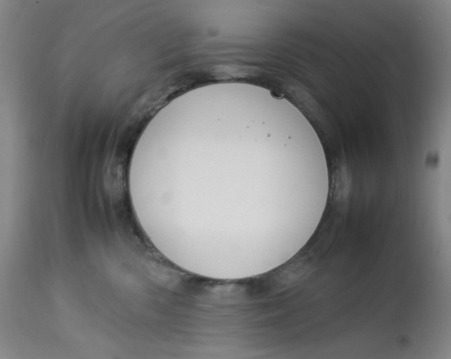 X0000112730426200909101456