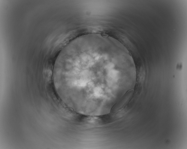 X0000112730427200909101456