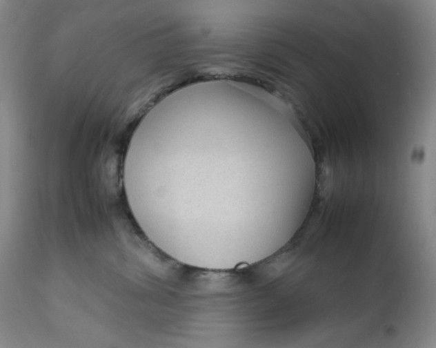 X0000112730428200909101456