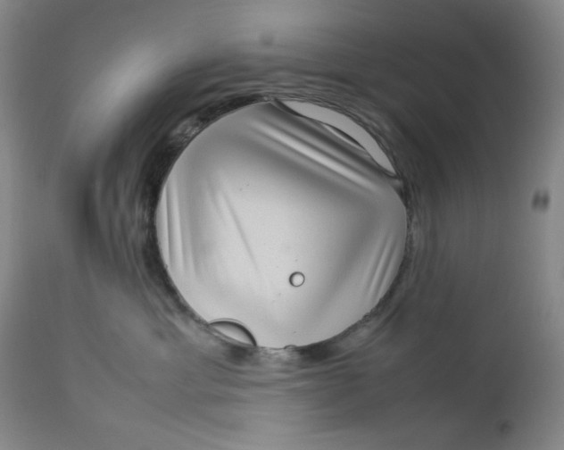 X0000112730429200909101456