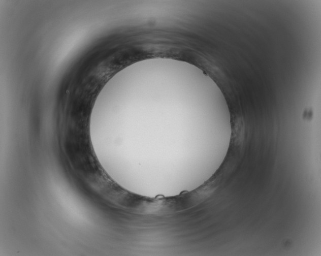 X0000112730430200909101456