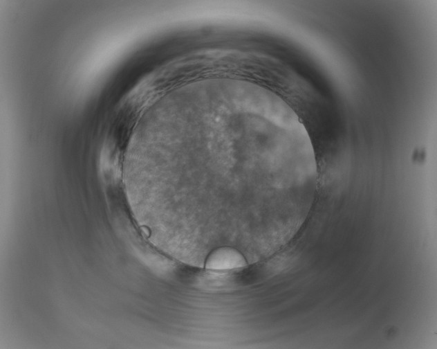 X0000112730431200909101456