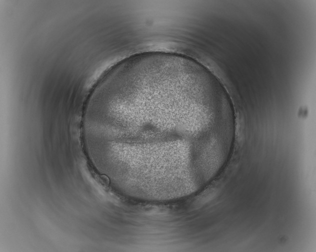 X0000112730434200909101455