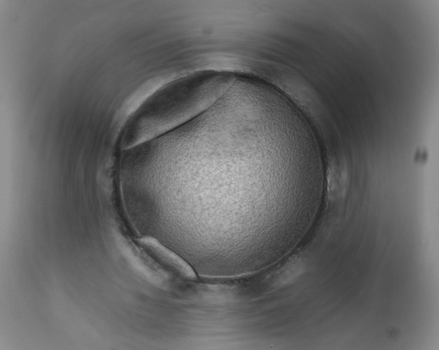 X0000112730436200909101455