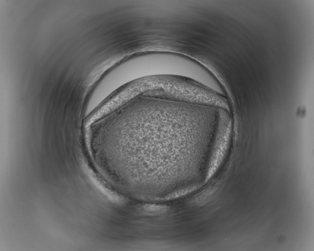 X0000112730437200909101455