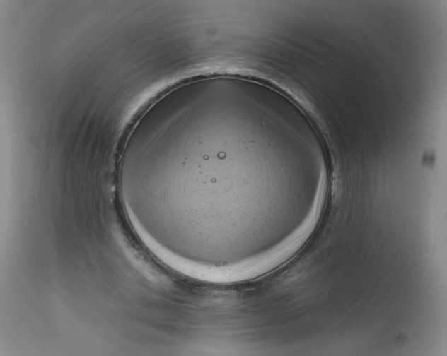 X0000112730438200909101456