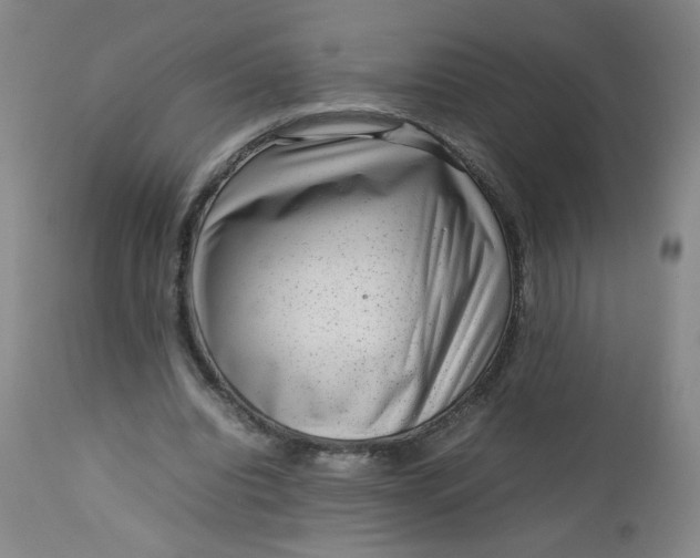 X0000112730440200909101456