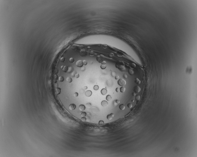 X0000112730443200909101456