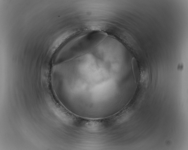 X0000112730444200909101456