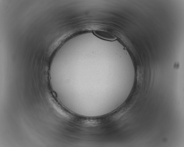 X0000112730445200909101456