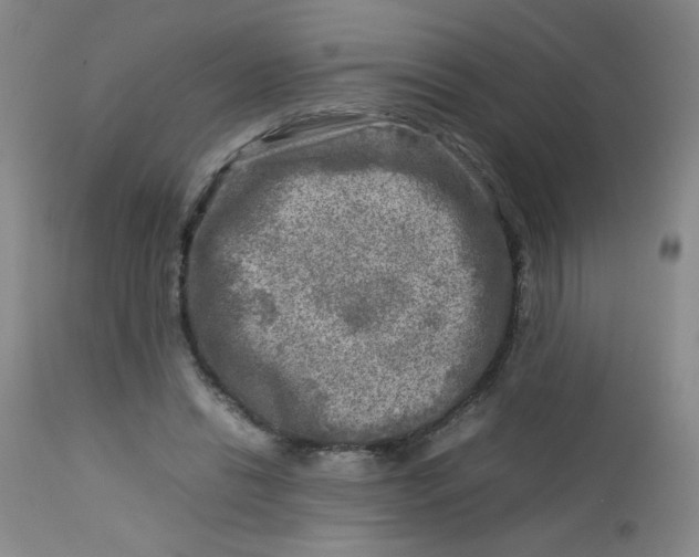 X0000112730446200909101456