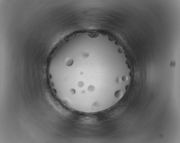 X0000112730447200909101456