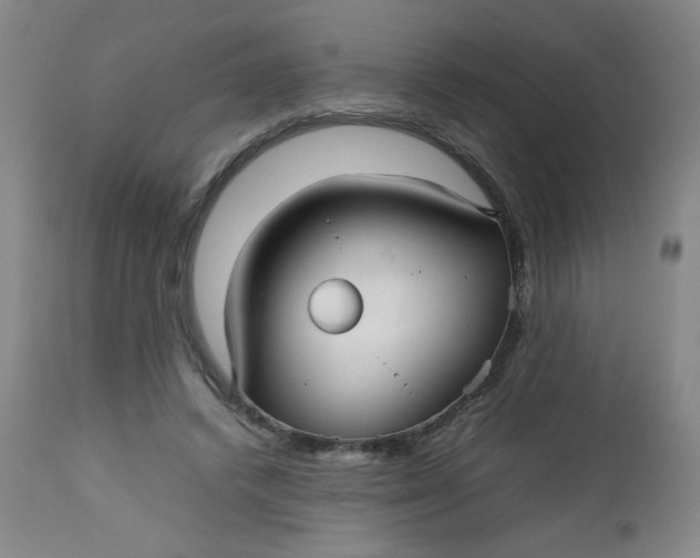 X0000112730448200909101456