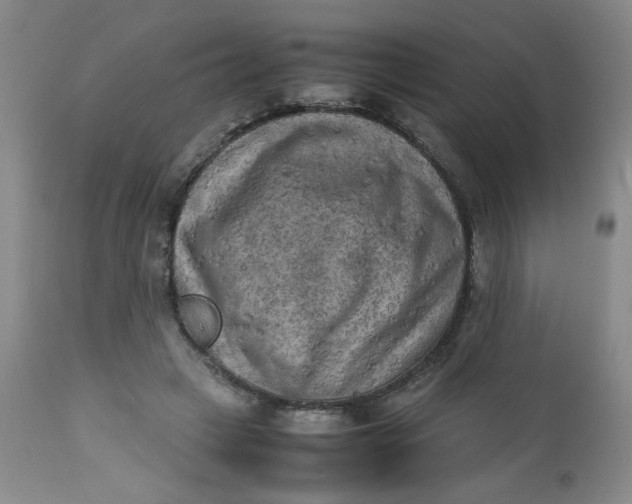 X0000112730449200909101456