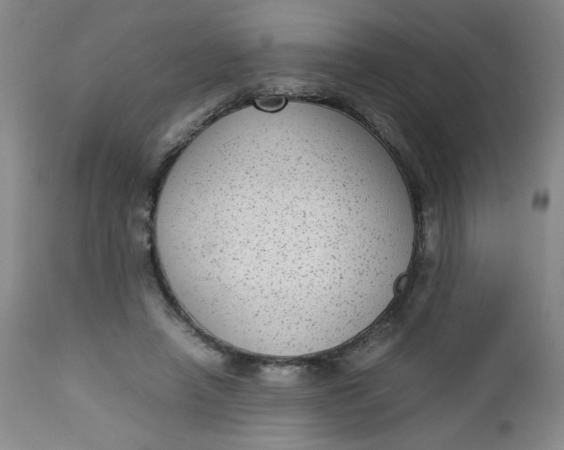 X0000112730450200909101456