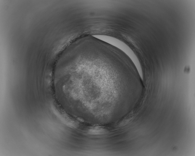 X0000112730451200909101456