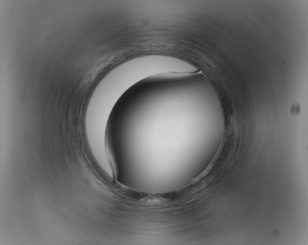 X0000112730452200909101456