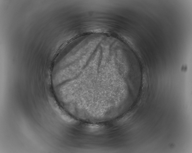 X0000112730453200909101456