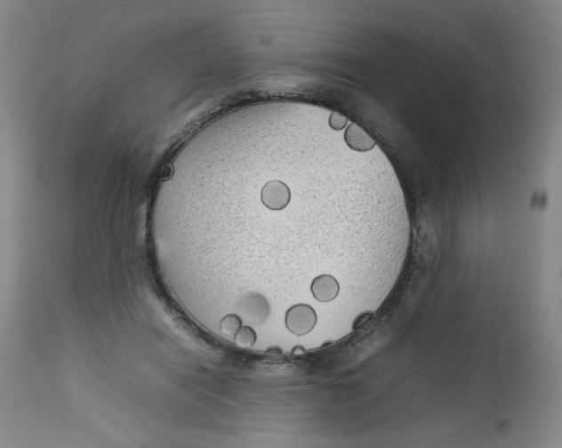 X0000112730454200909101456