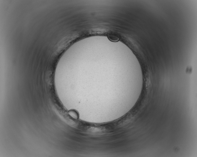 X0000112730455200909101456