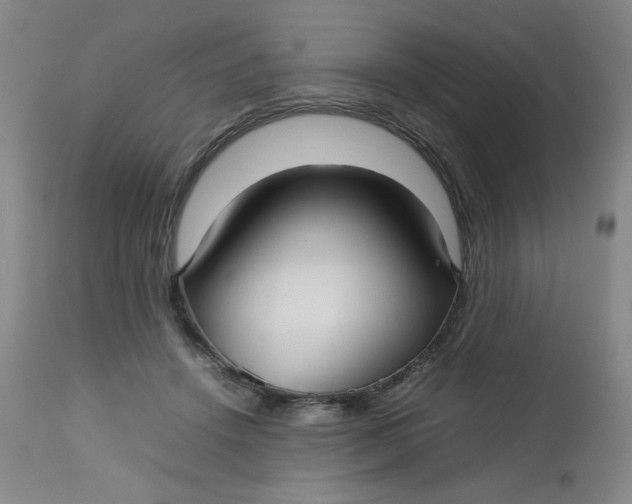 X0000112730456200909101456