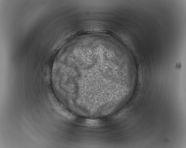 X0000112730457200909101456