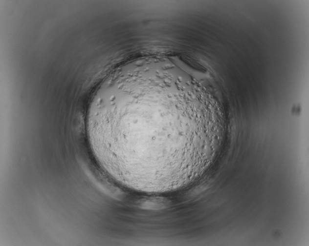 X0000112730459200909101456