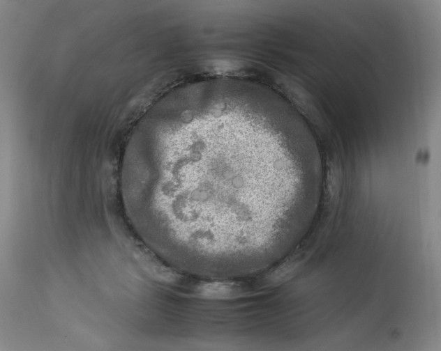 X0000112730461200909101456