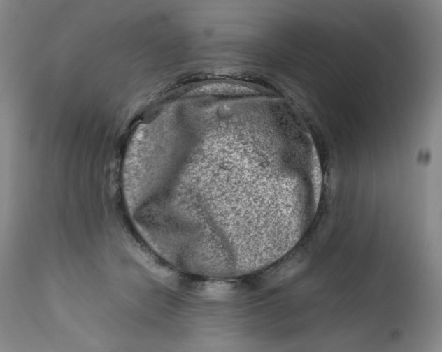 X0000112730462200909101456