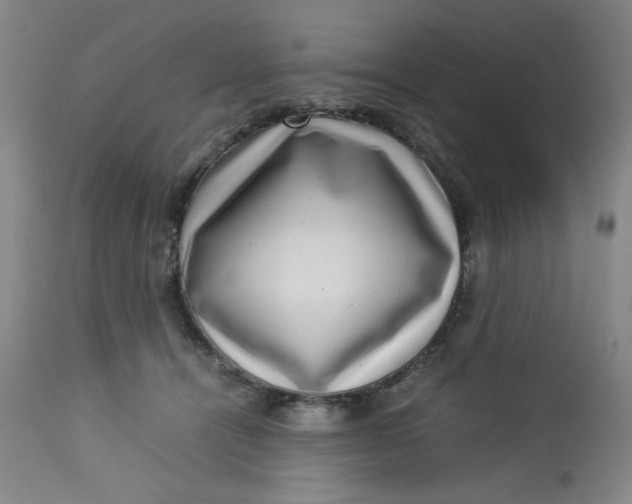 X0000112730464200909101456