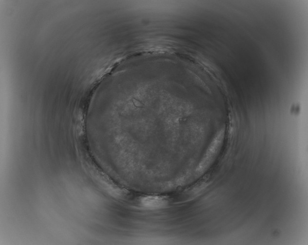 X0000112730465200909101456