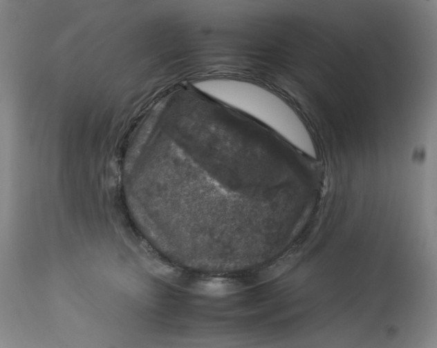 X0000112730467200909101456