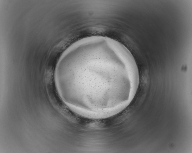 X0000112730468200909101456