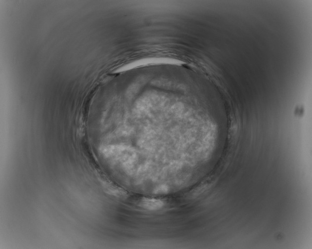 X0000112730469200909101456