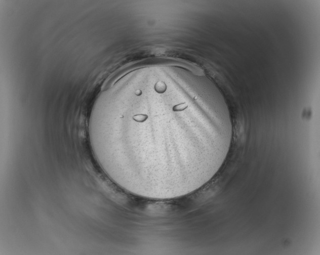 X0000112730470200909101456