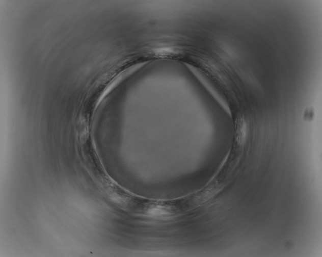 X0000112730471200909101456