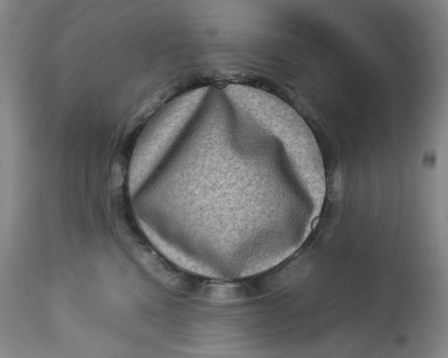 X0000112730472200909101456