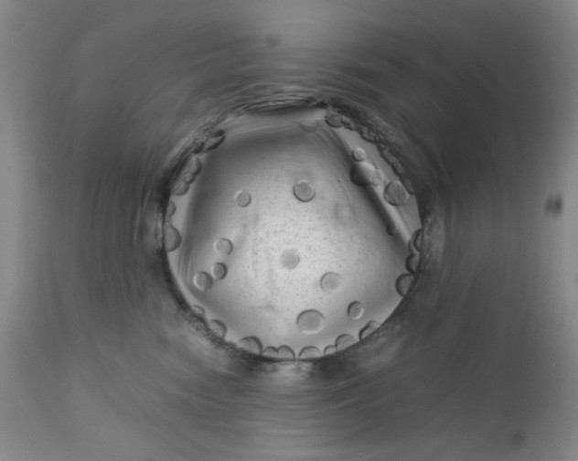 X0000112730474200909101456