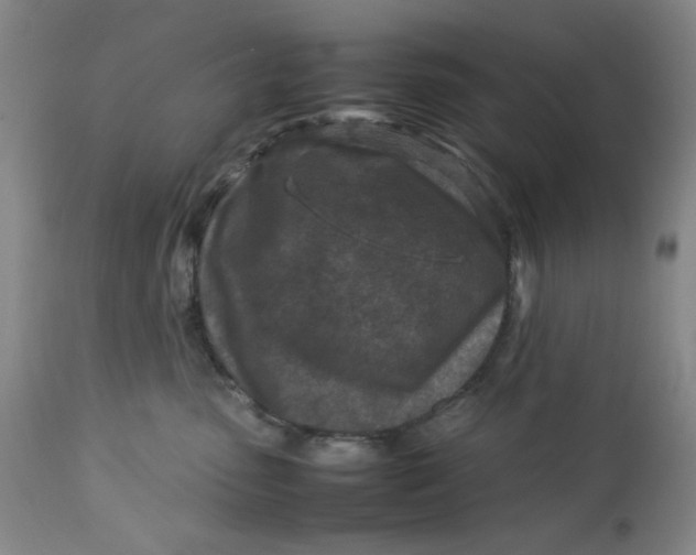 X0000112730475200909101456