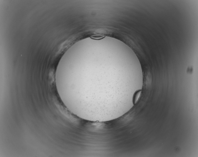 X0000112730478200909101456