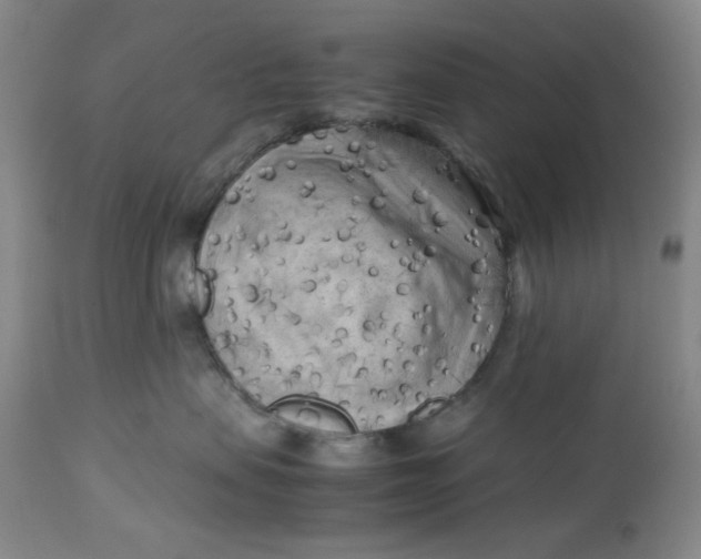 X0000112730479200909101456