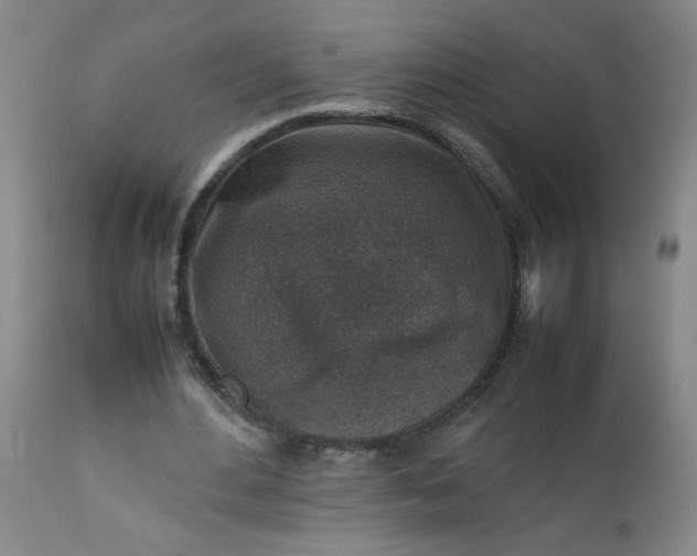 X0000112730484200909101455