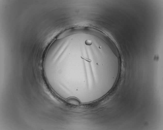 X0000112730485200909101455