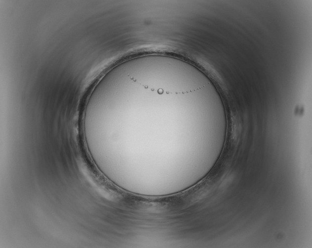 X0000112730486200909101455