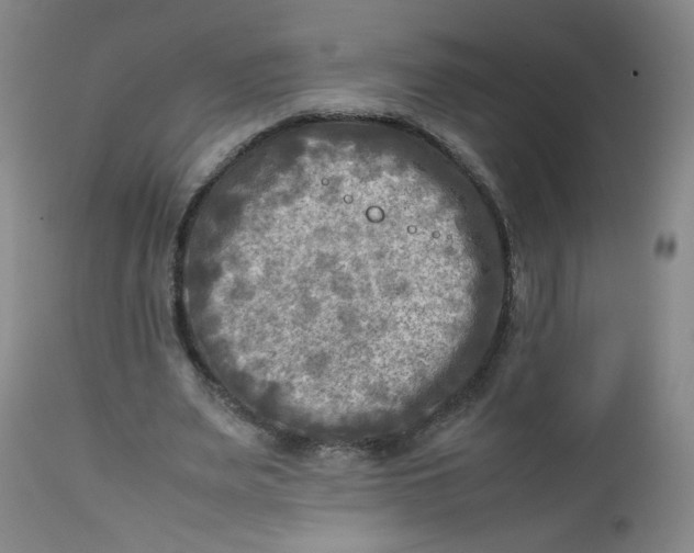 X0000112730487200909101455