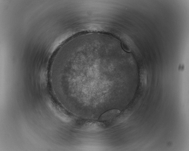 X0000112730488200909101455