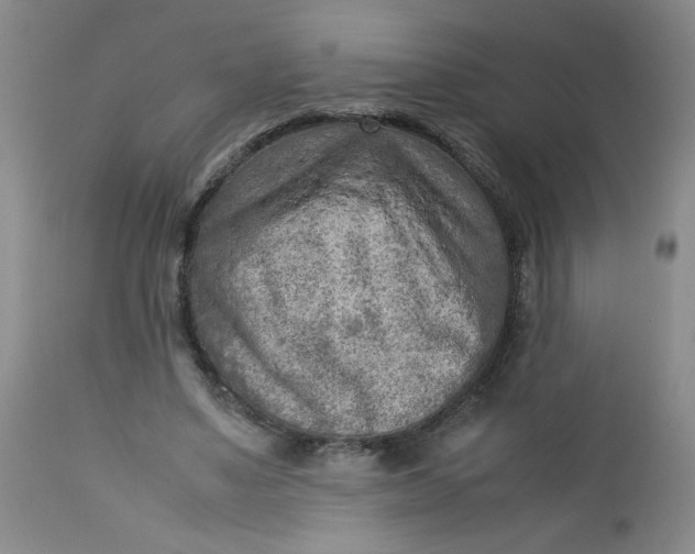 X0000112730491200909101455