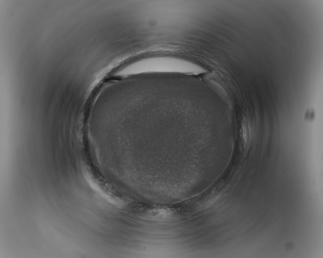 X0000112730492200909101455