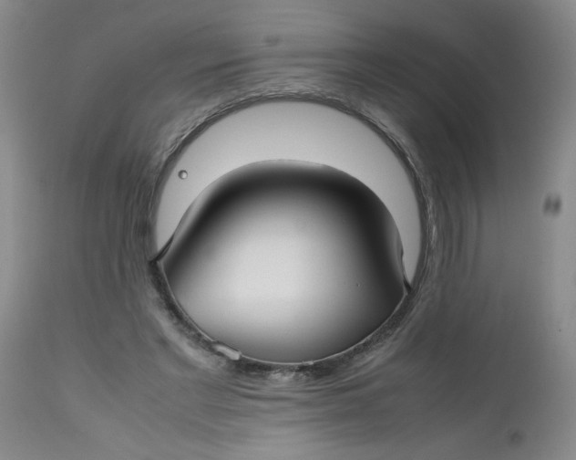 X0000112730493200909101455